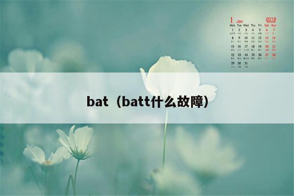 bat（batt什么故障）