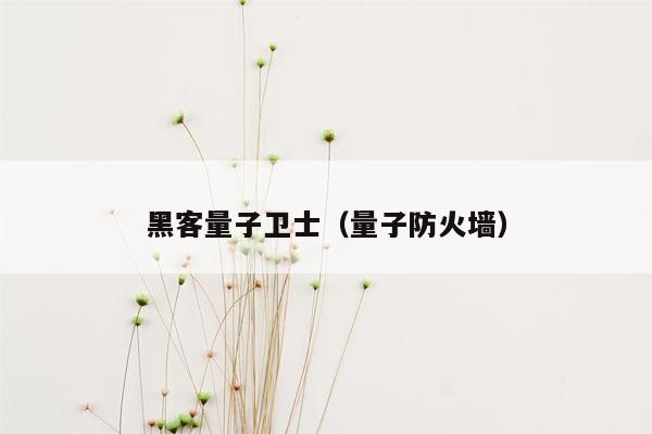 黑客量子卫士（量子防火墙）