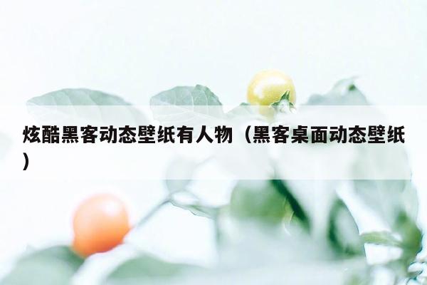 炫酷黑客动态壁纸有人物（黑客桌面动态壁纸）