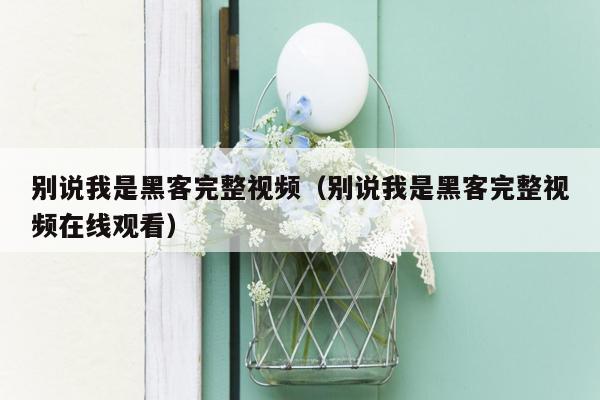 别说我是黑客完整视频（别说我是黑客完整视频在线观看）