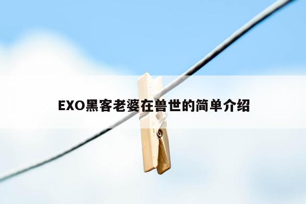 EXO黑客老婆在兽世的简单介绍