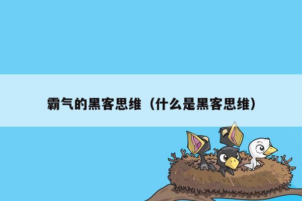 霸气的黑客思维（什么是黑客思维）