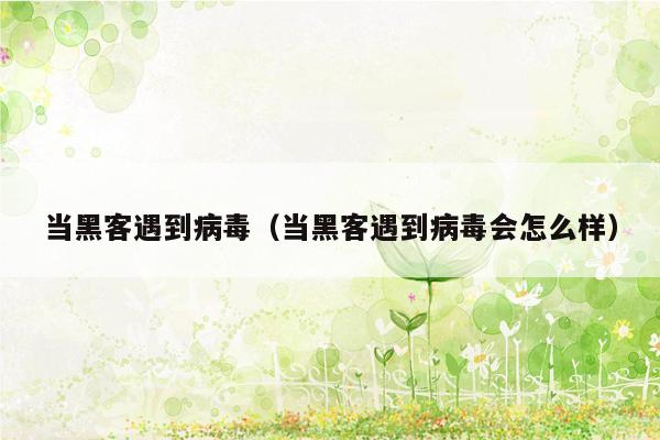 当黑客遇到病毒（当黑客遇到病毒会怎么样）