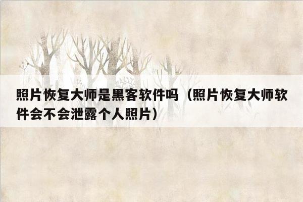 照片恢复大师是黑客软件吗（照片恢复大师软件会不会泄露个人照片）