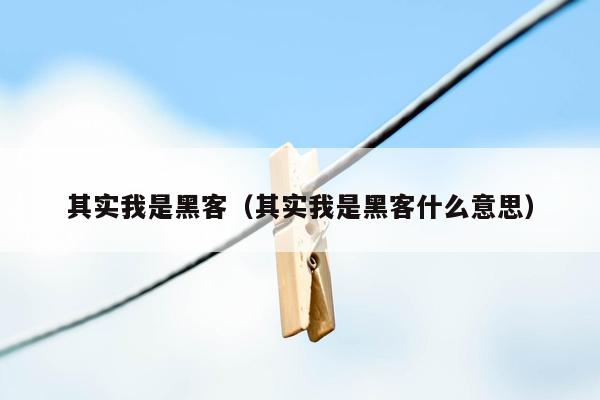 其实我是黑客（其实我是黑客什么意思）