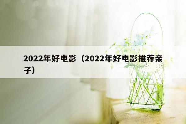 2022年好电影（2022年好电影推荐亲子）