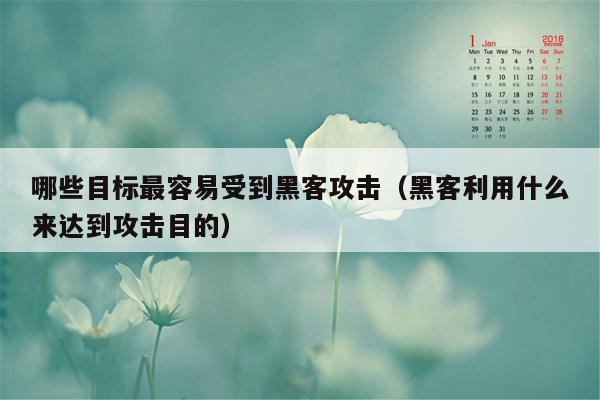 哪些目标最容易受到黑客攻击（黑客利用什么来达到攻击目的）