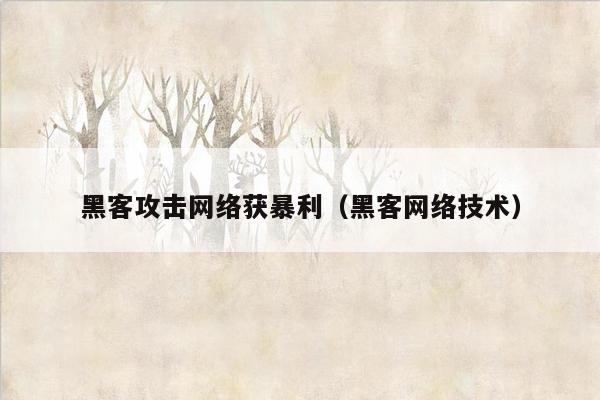 黑客攻击网络获暴利（黑客网络技术）