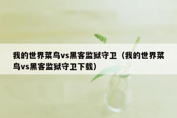 我的世界菜鸟vs黑客监狱守卫（我的世界菜鸟vs黑客监狱守卫下载）