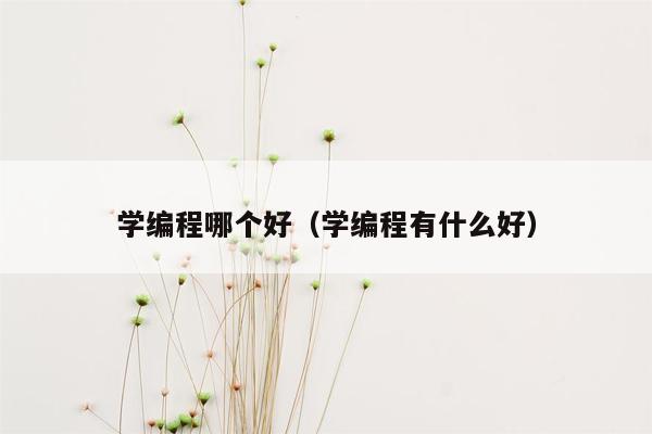 学编程哪个好（学编程有什么好）