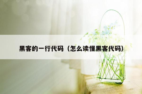 黑客的一行代码（怎么读懂黑客代码）