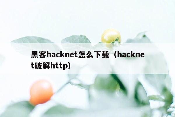 黑客hacknet怎么下载（hacknet破解http）