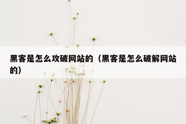 黑客是怎么攻破网站的（黑客是怎么破解网站的）