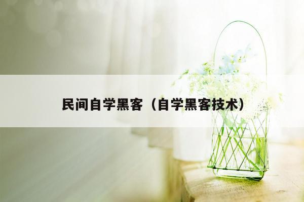 民间自学黑客（自学黑客技术）