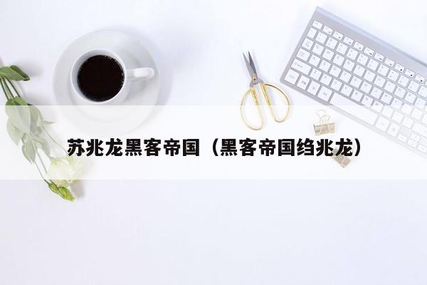 苏兆龙黑客帝国（黑客帝国绉兆龙）