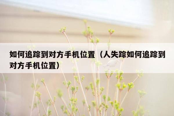 如何追踪到对方手机位置（人失踪如何追踪到对方手机位置）