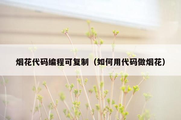 烟花代码编程可复制（如何用代码做烟花）