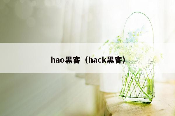 hao黑客（hack黑客）
