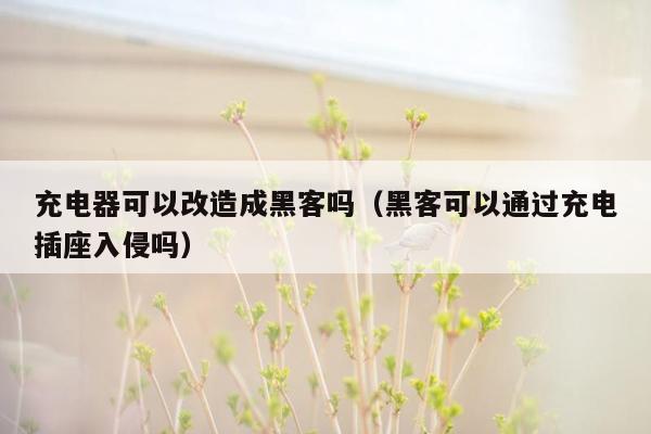 充电器可以改造成黑客吗（黑客可以通过充电插座入侵吗）