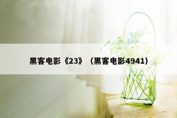 黑客电影《23》（黑客电影4941）