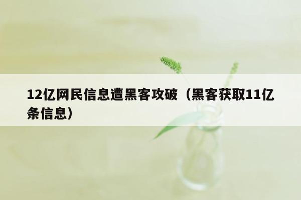 12亿网民信息遭黑客攻破（黑客获取11亿条信息）