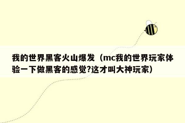 我的世界黑客火山爆发（mc我的世界玩家体验一下做黑客的感觉?这才叫大神玩家）