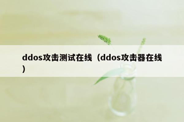 ddos攻击测试在线（ddos攻击器在线）