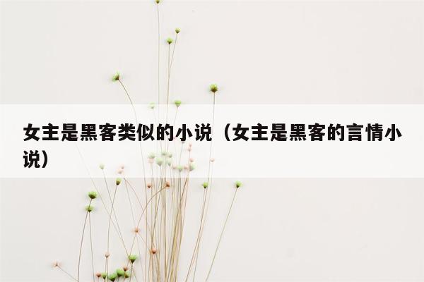 女主是黑客类似的小说（女主是黑客的言情小说）