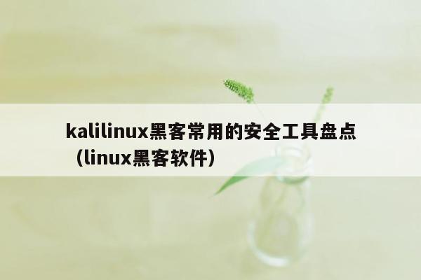 kalilinux黑客常用的安全工具盘点（linux黑客软件）