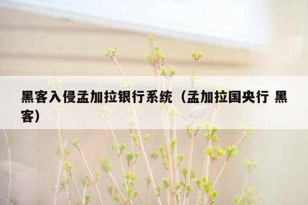 黑客入侵孟加拉银行系统（孟加拉国央行 黑客）