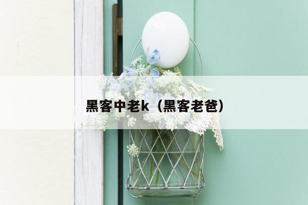 黑客中老k（黑客老爸）