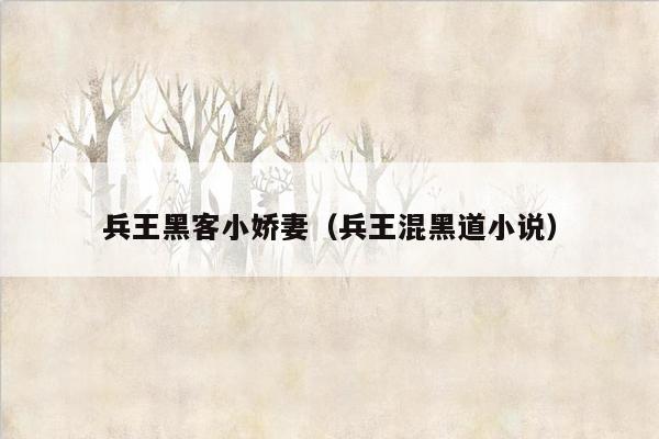 兵王黑客小娇妻（兵王混黑道小说）