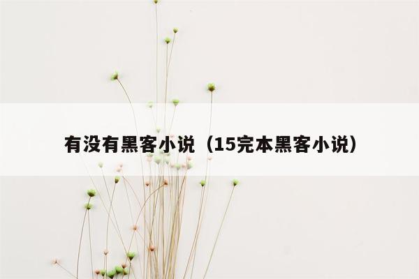 有没有黑客小说（15完本黑客小说）