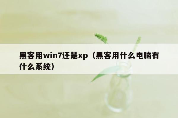 黑客用win7还是xp（黑客用什么电脑有什么系统）