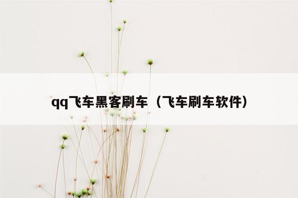 qq飞车黑客刷车（飞车刷车软件）