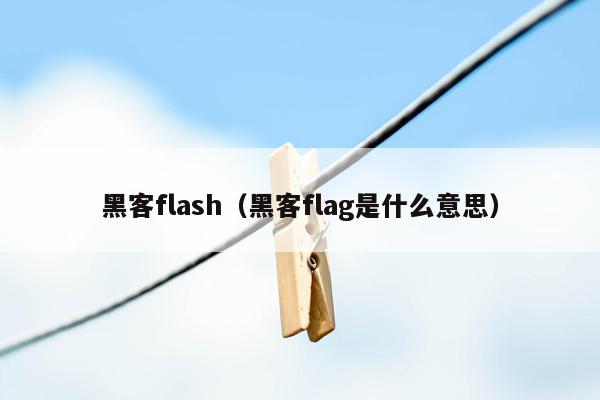 黑客flash（黑客flag是什么意思）