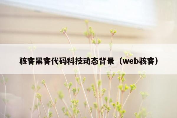 骇客黑客代码科技动态背景（web骇客）