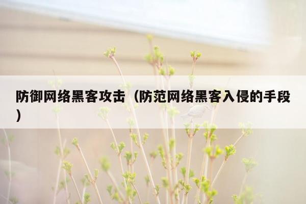 防御网络黑客攻击（防范网络黑客入侵的手段）