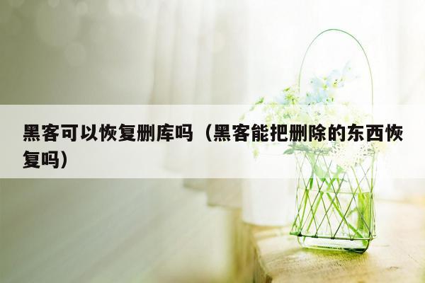 黑客可以恢复删库吗（黑客能把删除的东西恢复吗）