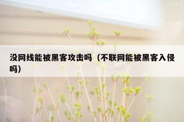 没网线能被黑客攻击吗（不联网能被黑客入侵吗）