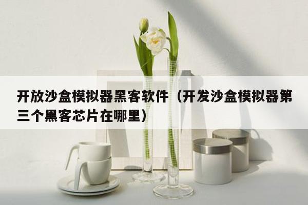 开放沙盒模拟器黑客软件（开发沙盒模拟器第三个黑客芯片在哪里）