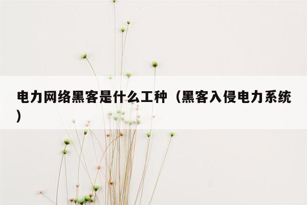 电力网络黑客是什么工种（黑客入侵电力系统）