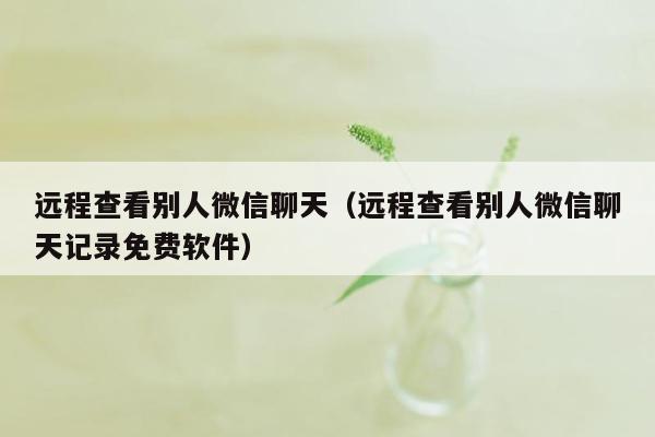 远程查看别人微信聊天（远程查看别人微信聊天记录免费软件）