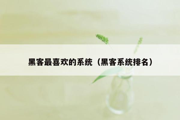 黑客最喜欢的系统（黑客系统排名）