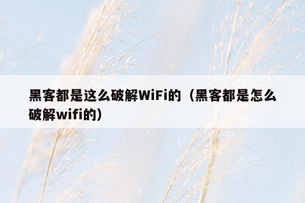 黑客都是这么破解WiFi的（黑客都是怎么破解wifi的）