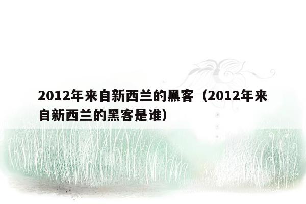 2012年来自新西兰的黑客（2012年来自新西兰的黑客是谁）