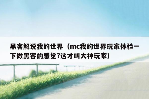 黑客解说我的世界（mc我的世界玩家体验一下做黑客的感觉?这才叫大神玩家）