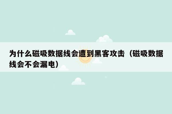 为什么磁吸数据线会遭到黑客攻击（磁吸数据线会不会漏电）