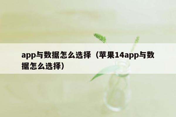 app与数据怎么选择（苹果14app与数据怎么选择）