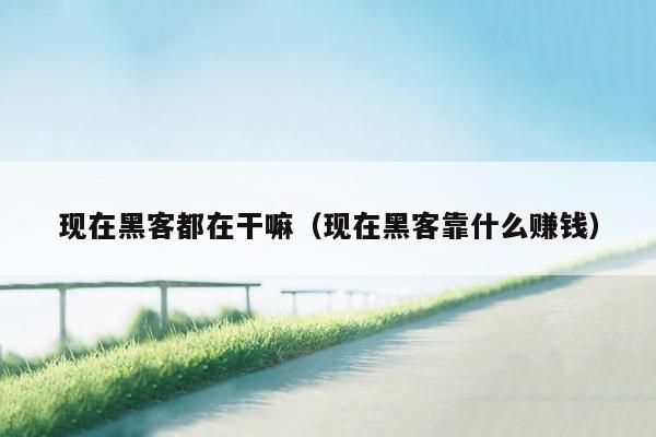 现在黑客都在干嘛（现在黑客靠什么赚钱）